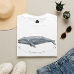 Pacific Gray Whale — Migration Line  