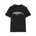 Pacific Gray Whale — Migration Line  