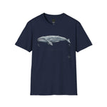 Pacific Gray Whale — Migration Line  