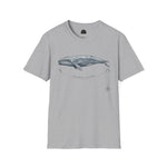 Pacific Gray Whale — Migration Line  