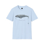Pacific Gray Whale — Migration Line  